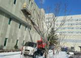 대전 성모병원